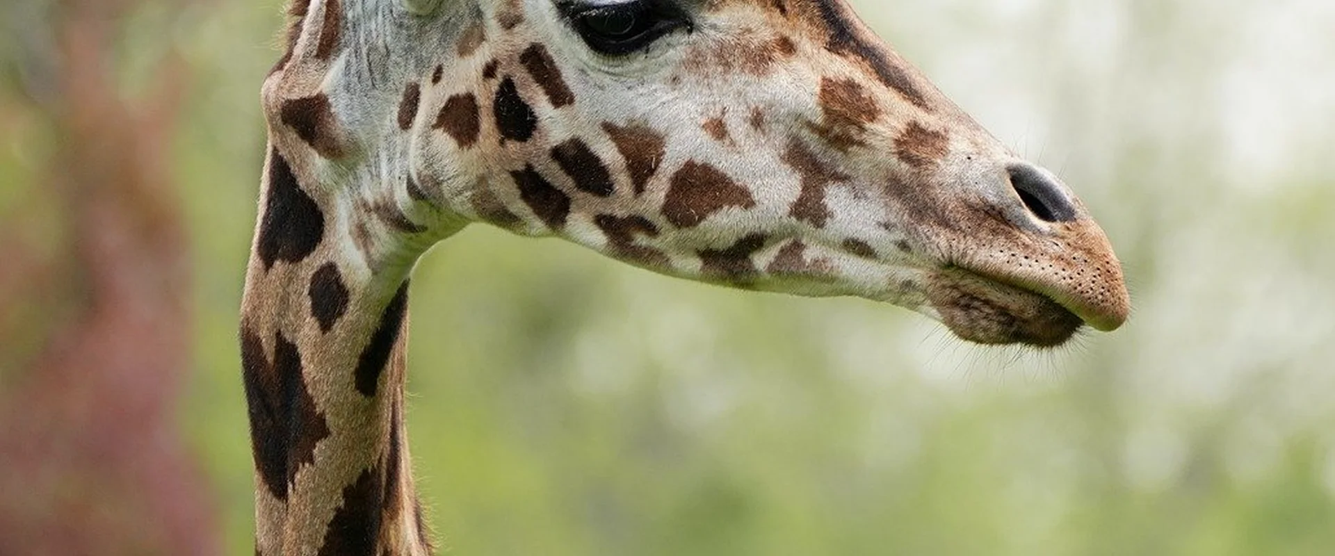 问鼎娱乐娱乐平台