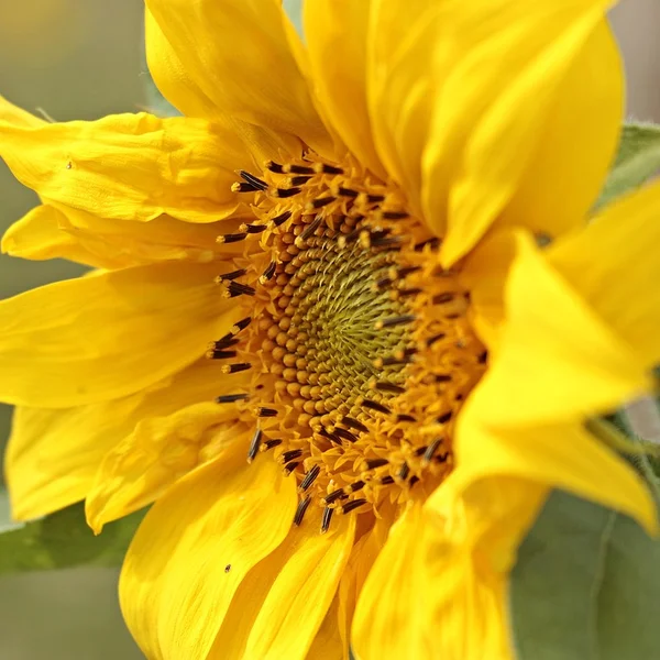 问鼎娱乐百家乐游戏